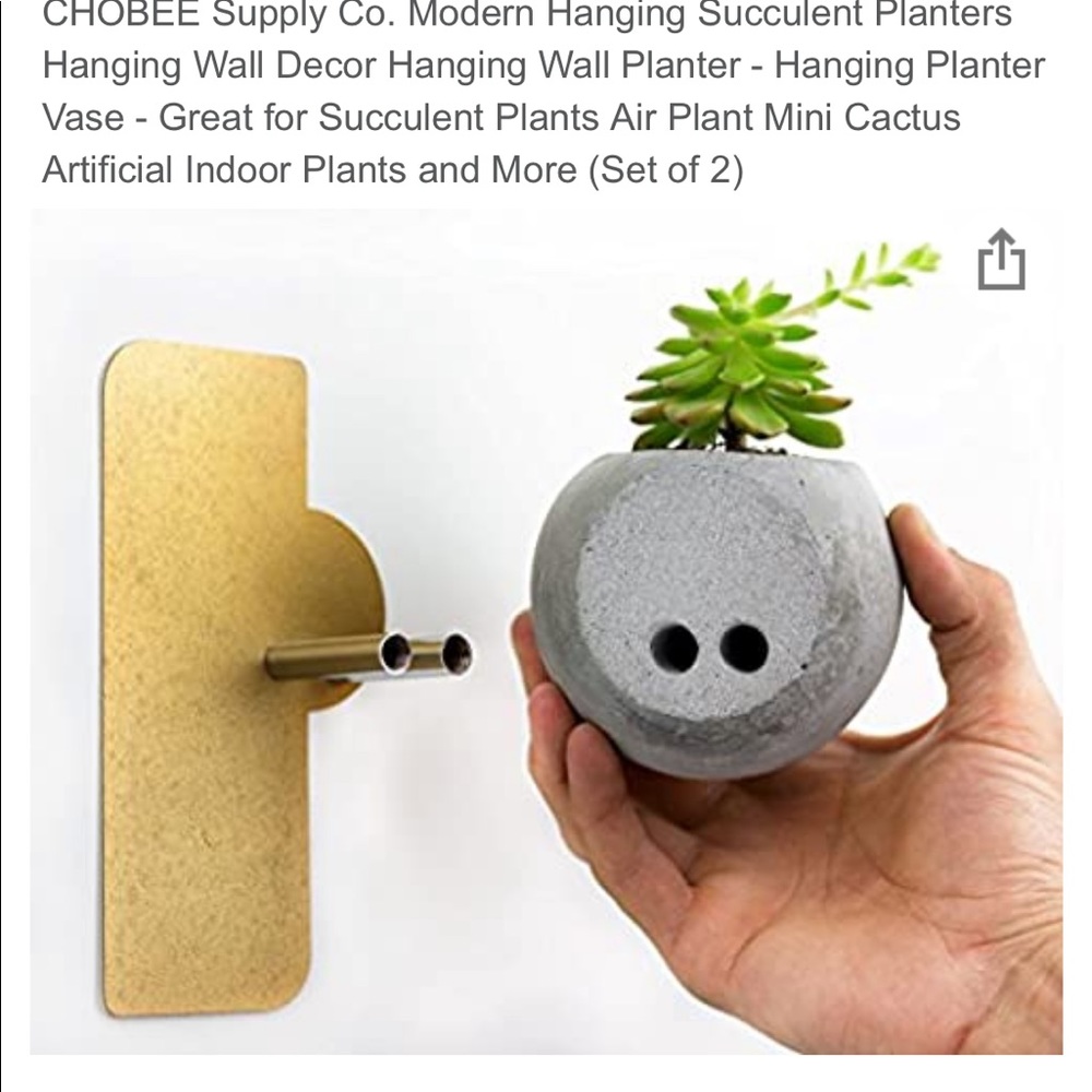 Succulent Planters